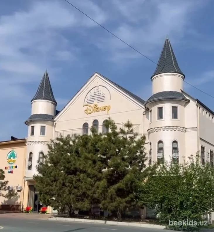 Disney Academy — здание с башенками