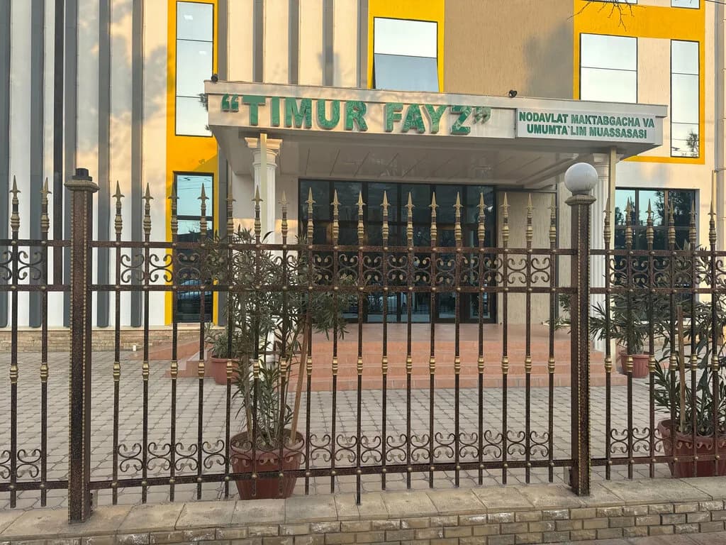 Timur Fayz